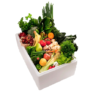 Thermocol Boxes For Vegetable Packaging